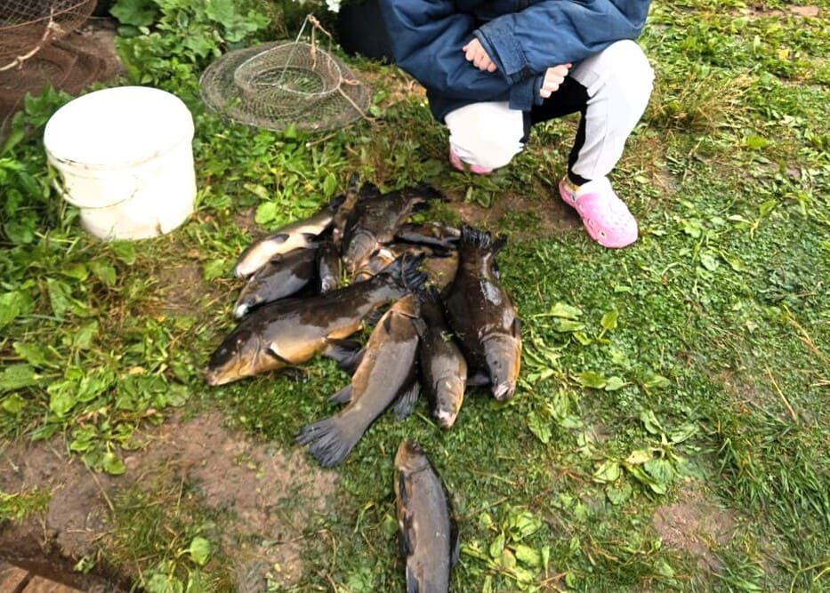 Продажа офиса  